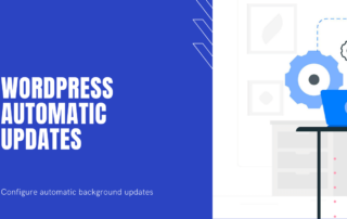 automatic wordpress updates