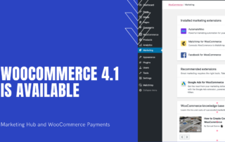 WooCommerce 4.1 - Marketing Hub and Payments